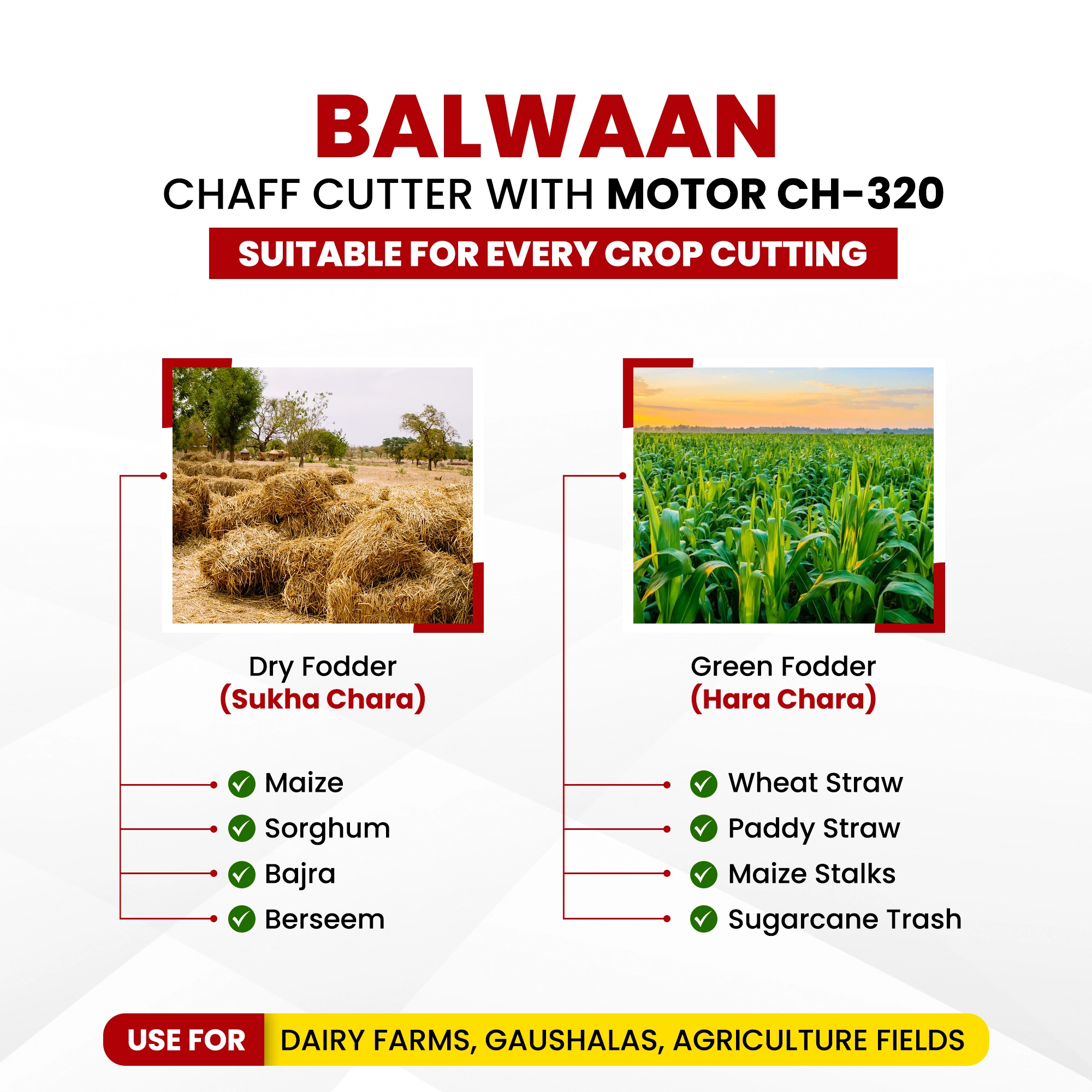 Balwaan-chaff-cutter-with-gear-motor & conveyor-belt-ch-320-3